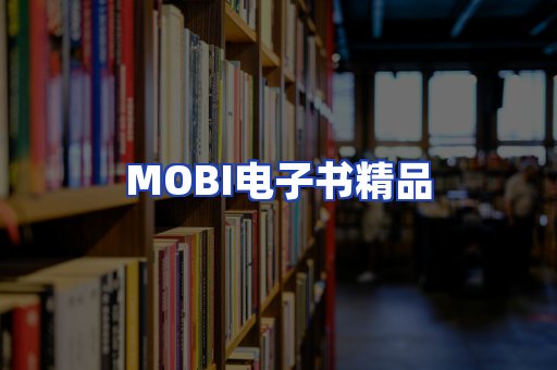 外文电子书产品