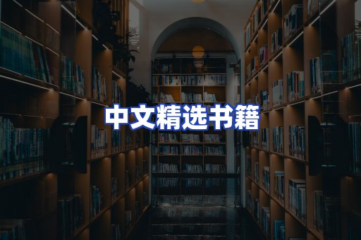 中文精选书籍